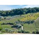 Search_Ruin and an agricultural accessory for sale in Le Marche_17